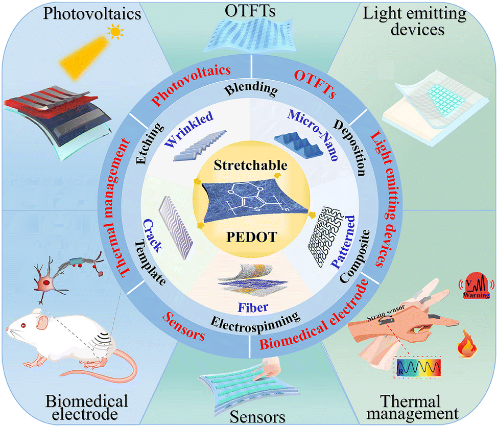 Recent advances in the construction and application of stretchable