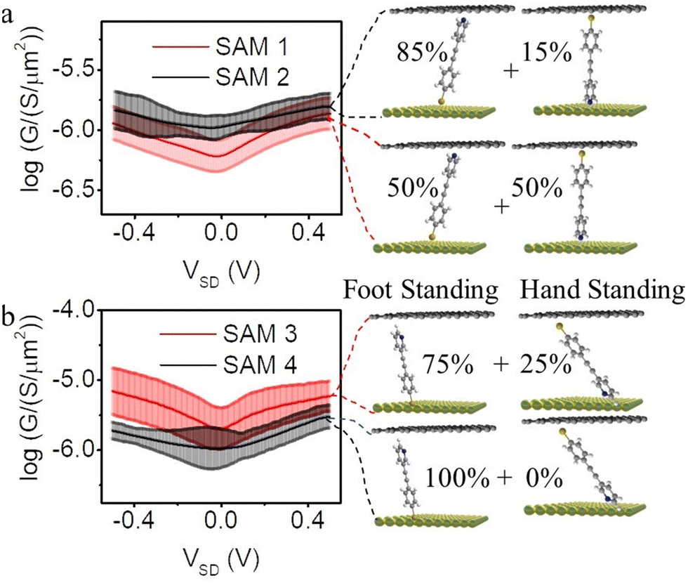 Orientation preference control: a novel approach for tailoring 