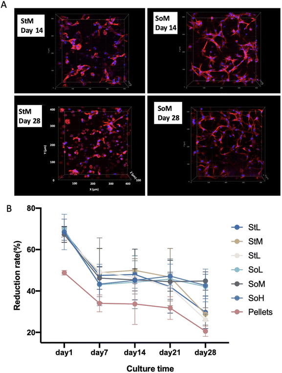 The effect of chondroitin sulfate concentration and matrix stiffness on