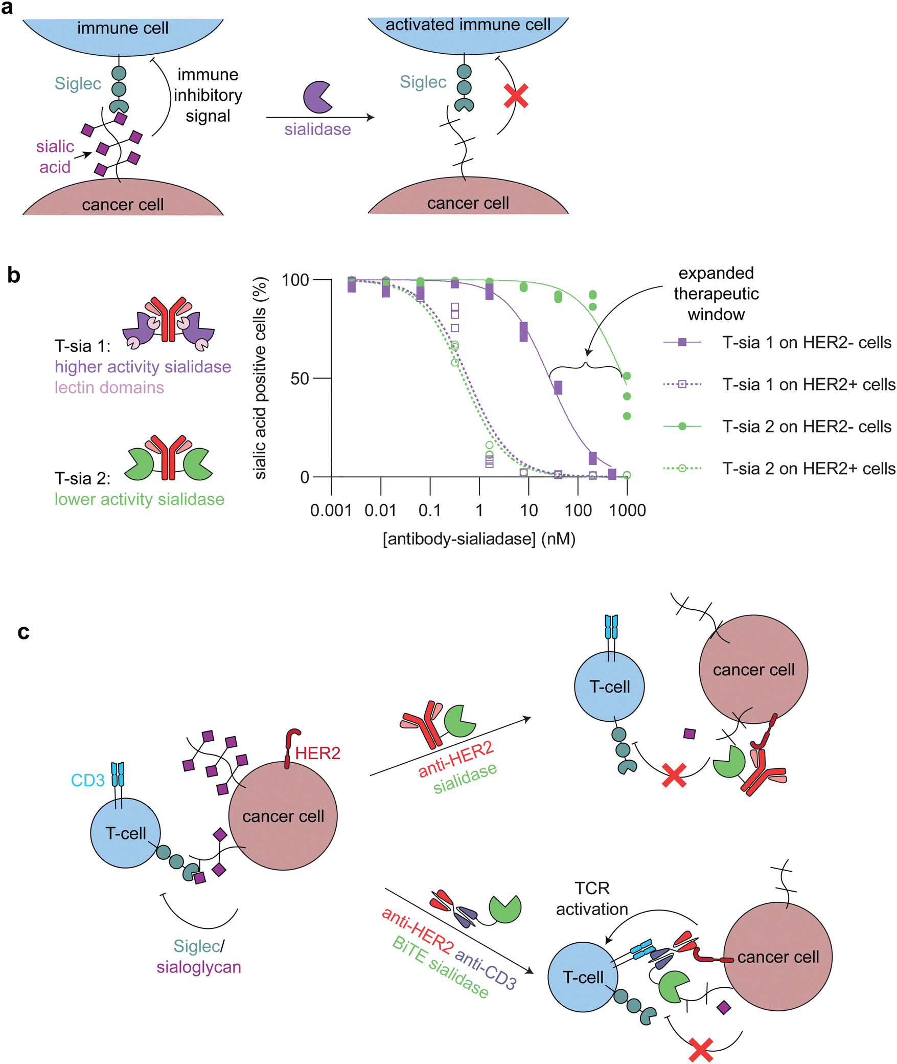 Bringing enzymes to the proximity party - RSC Chemical Biology (RSC ...