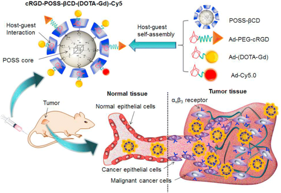 Fluorophore-based host–guest assembly complexes for imaging and therapy ...