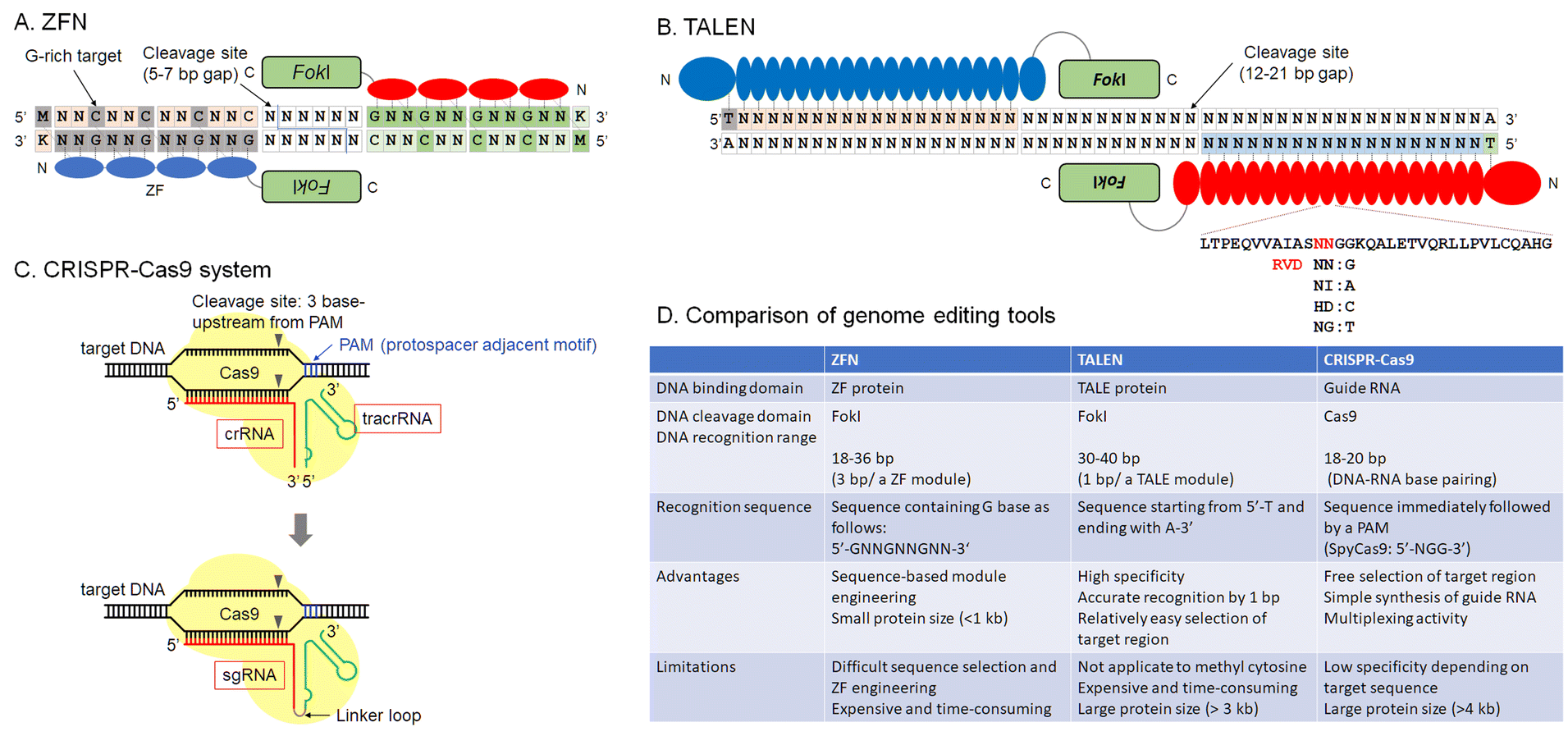 The history of genome editing advances from the interface of chemistry & biology Chemical