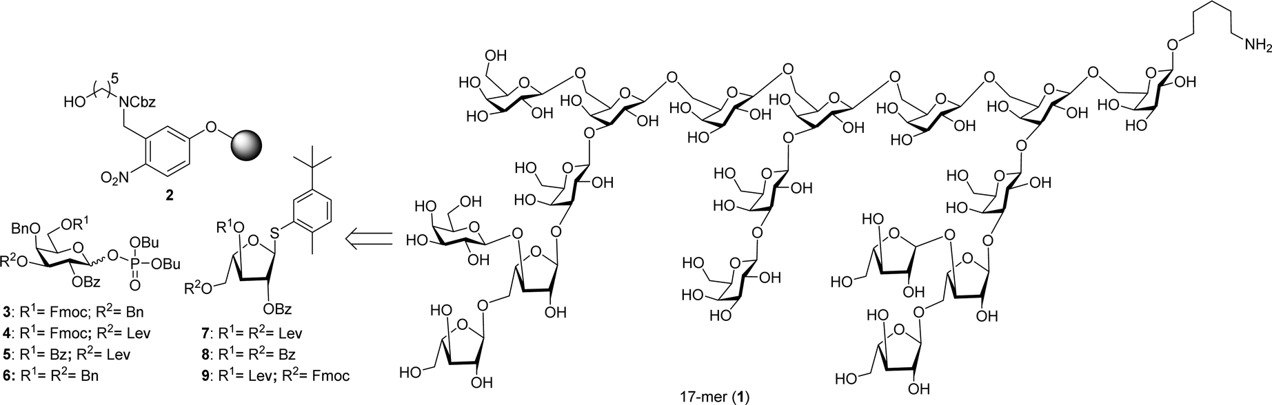Automated glycan assembly of highly branched heptadecasaccharide