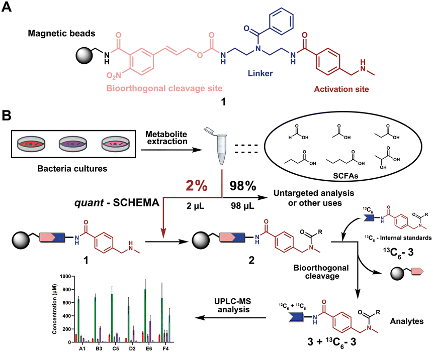 Sensitive Quantification Of Short Chain Fatty Acids Combined With   D3cc01223a F1 Hi Res 