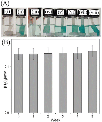 Nanophase Photocatalysis Loading Storing And Release Of H 2 O 2
