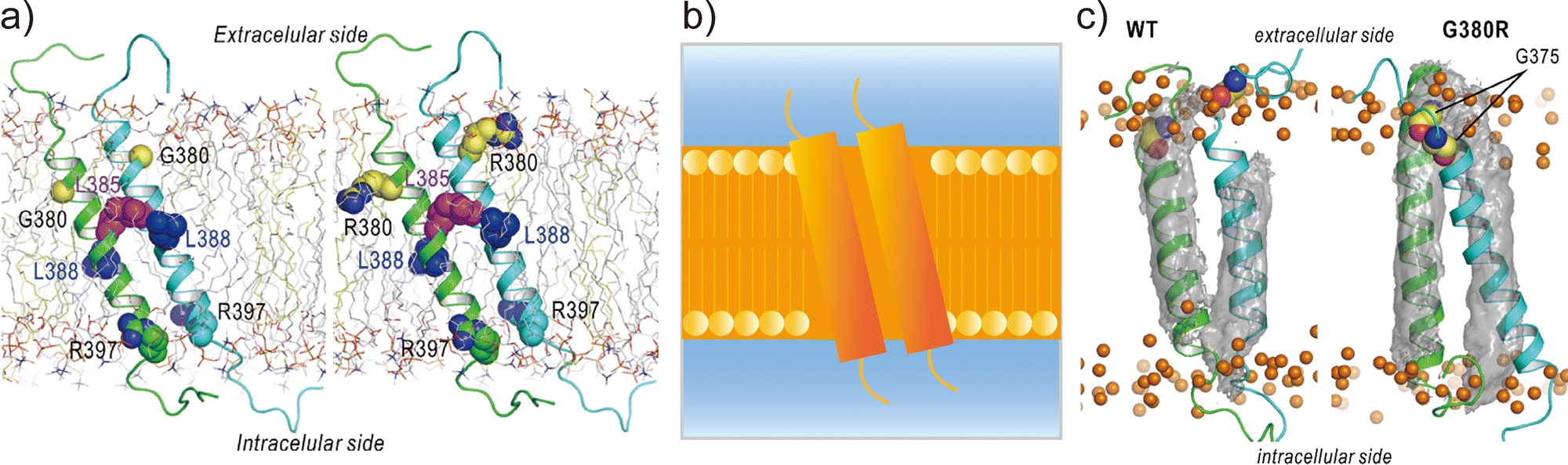 Towards De Novo Design Of Transmembrane α-helical Assemblies Using ...