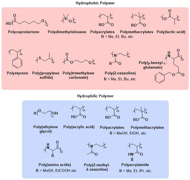 Polymersome-based protein drug delivery – quo vadis? - Chemical Society ...
