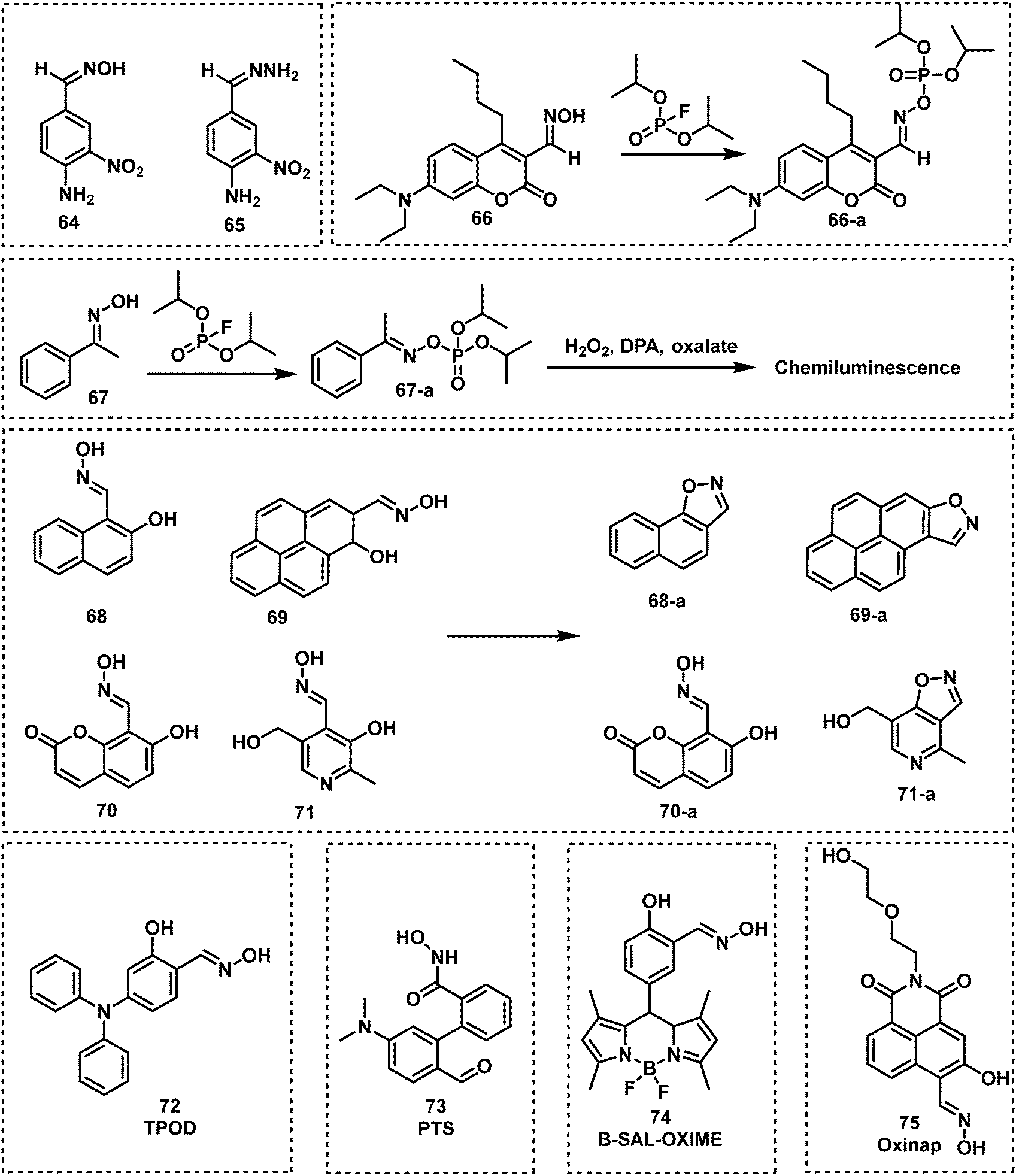 Fluorescent probes for the detection of chemical warfare agents