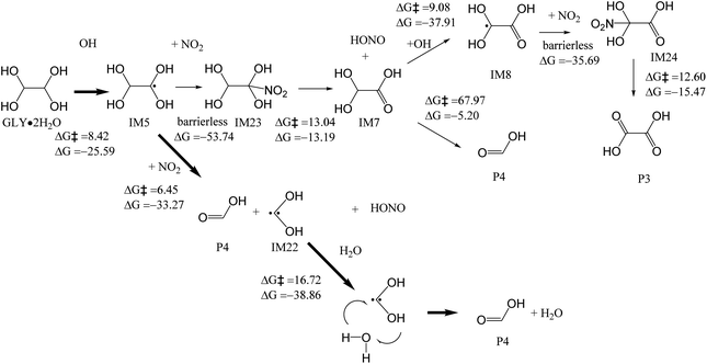 Theoretical study on the aqueous phase oxidation of glyoxal ...