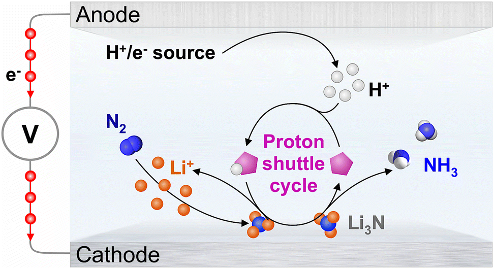 The chemistry of proton carriers in highperformance lithiummediated