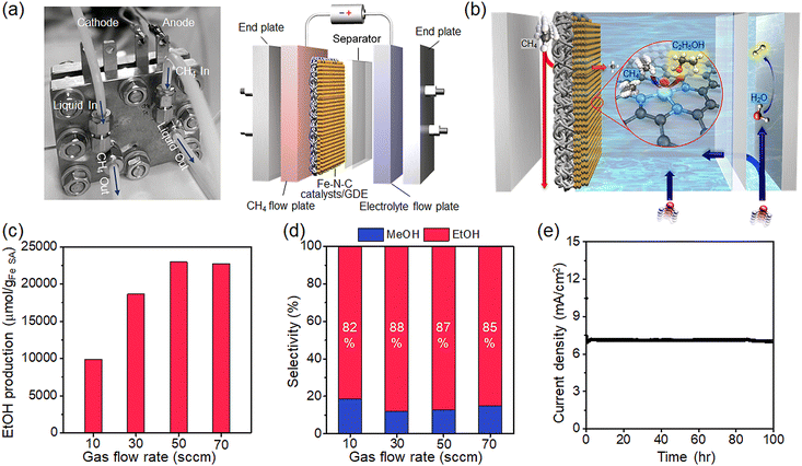 Boosting electrochemical methane conversion by oxygen evolution ...