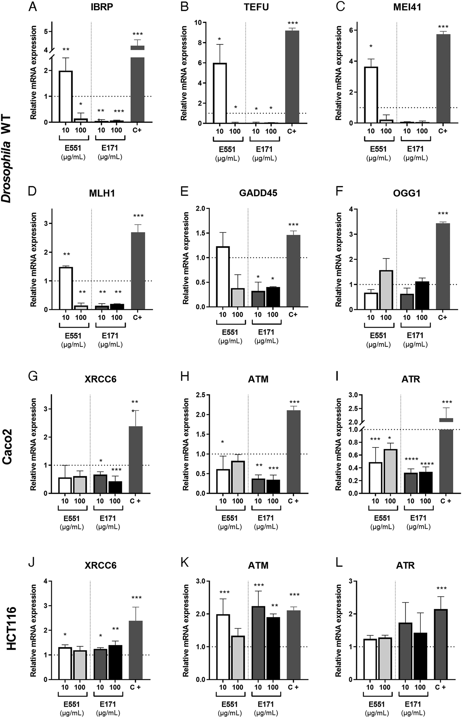 Complementary in vitro and in vivo strategies to assess the biological ...