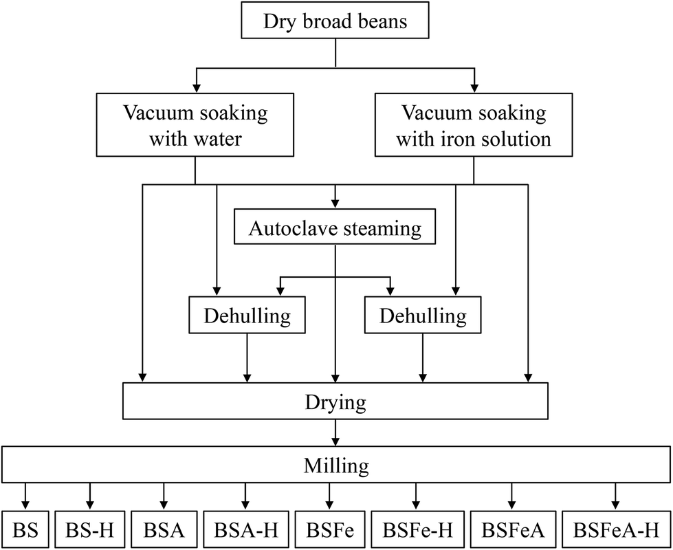 Vacuum impregnation as a sustainable technology to obtain iron