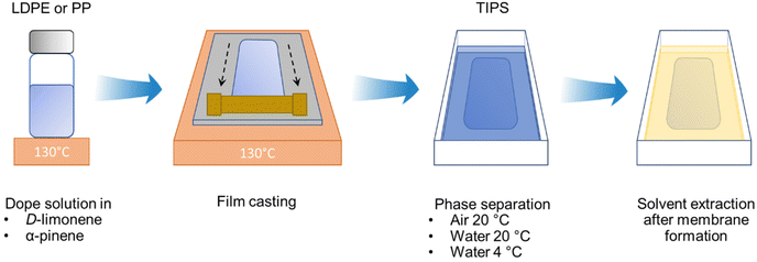 Bio-based solvents for polyolefin dissolution and membrane fabrication ...