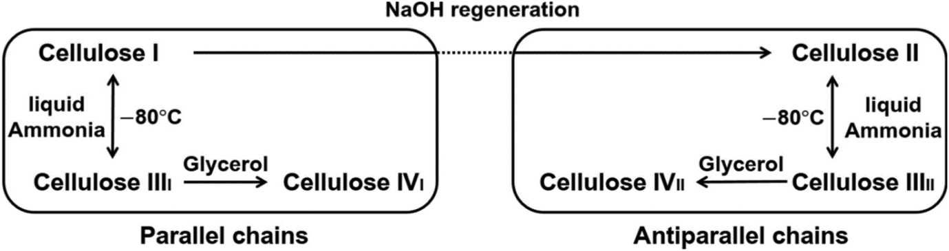 Cellulose Processing In Ionic Liquids From A Materials Science ...