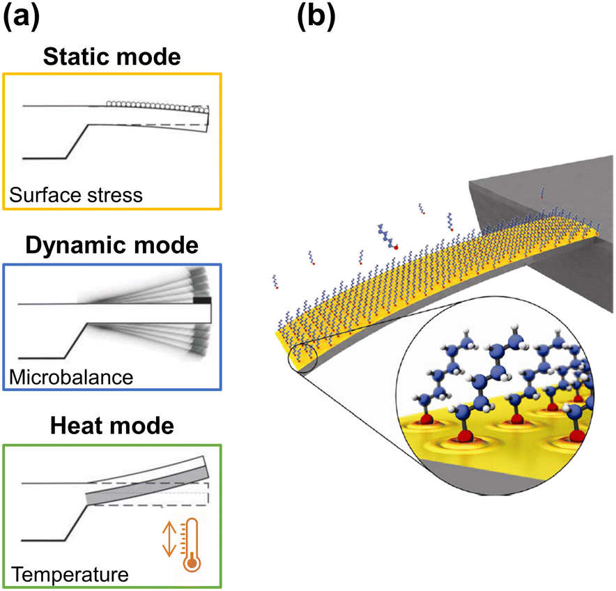 Beyond biology alternative uses of cantileverbased technologies Lab