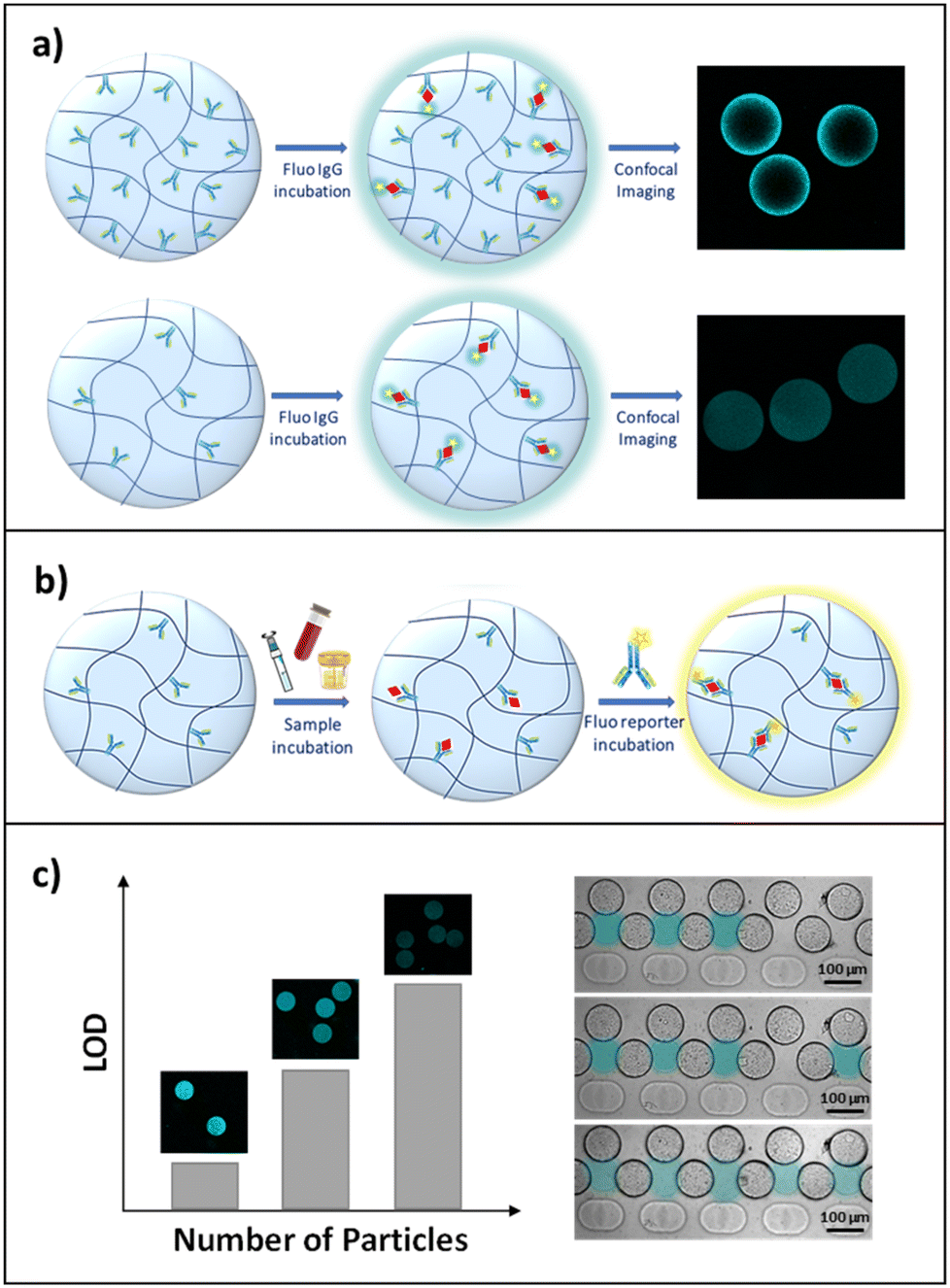 Hydrogel particles-on-chip (HyPoC): a fluorescence micro-sensor array ...