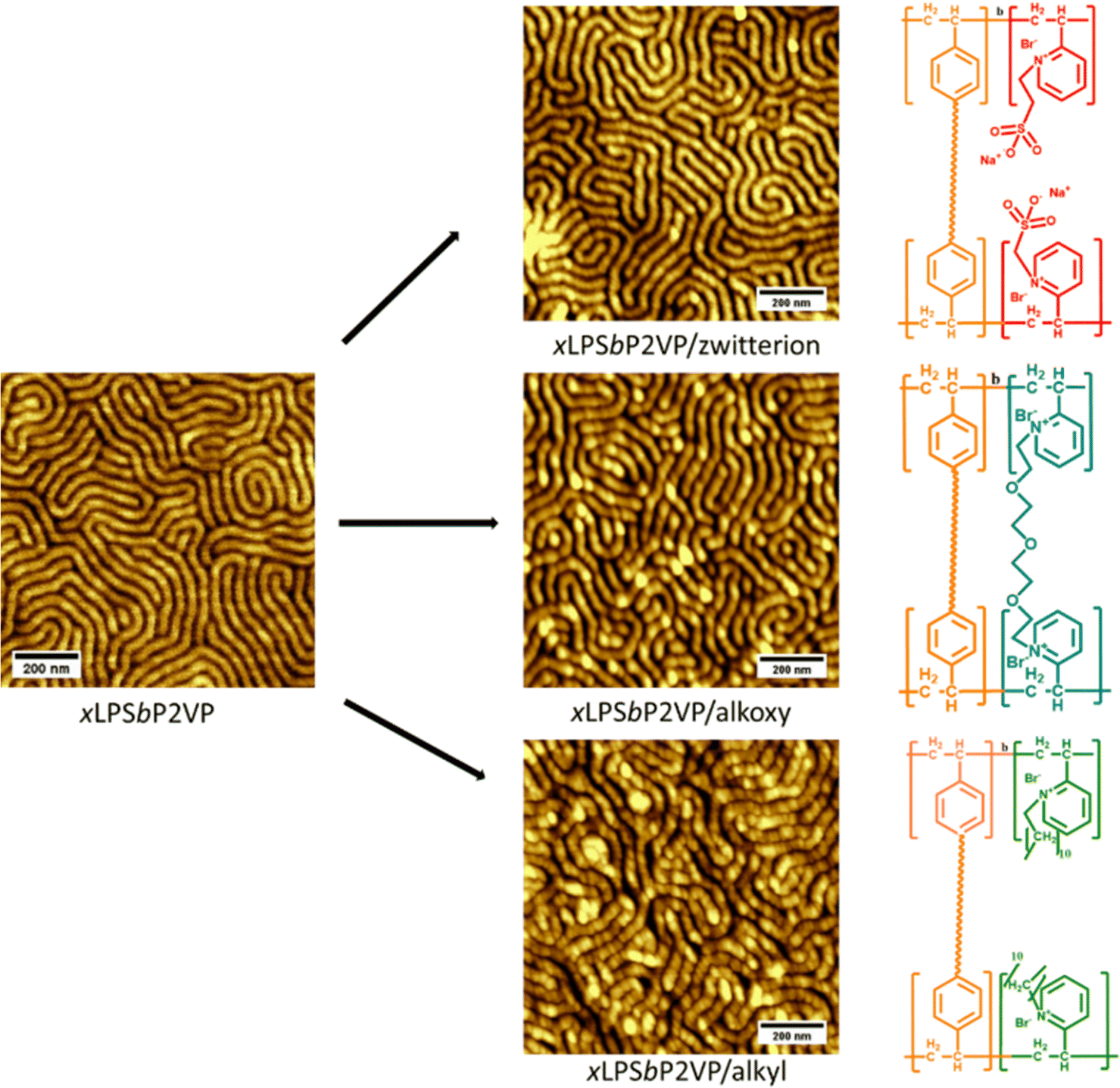 Ion transport on selfassembled block copolymer electrolytes with different side chain