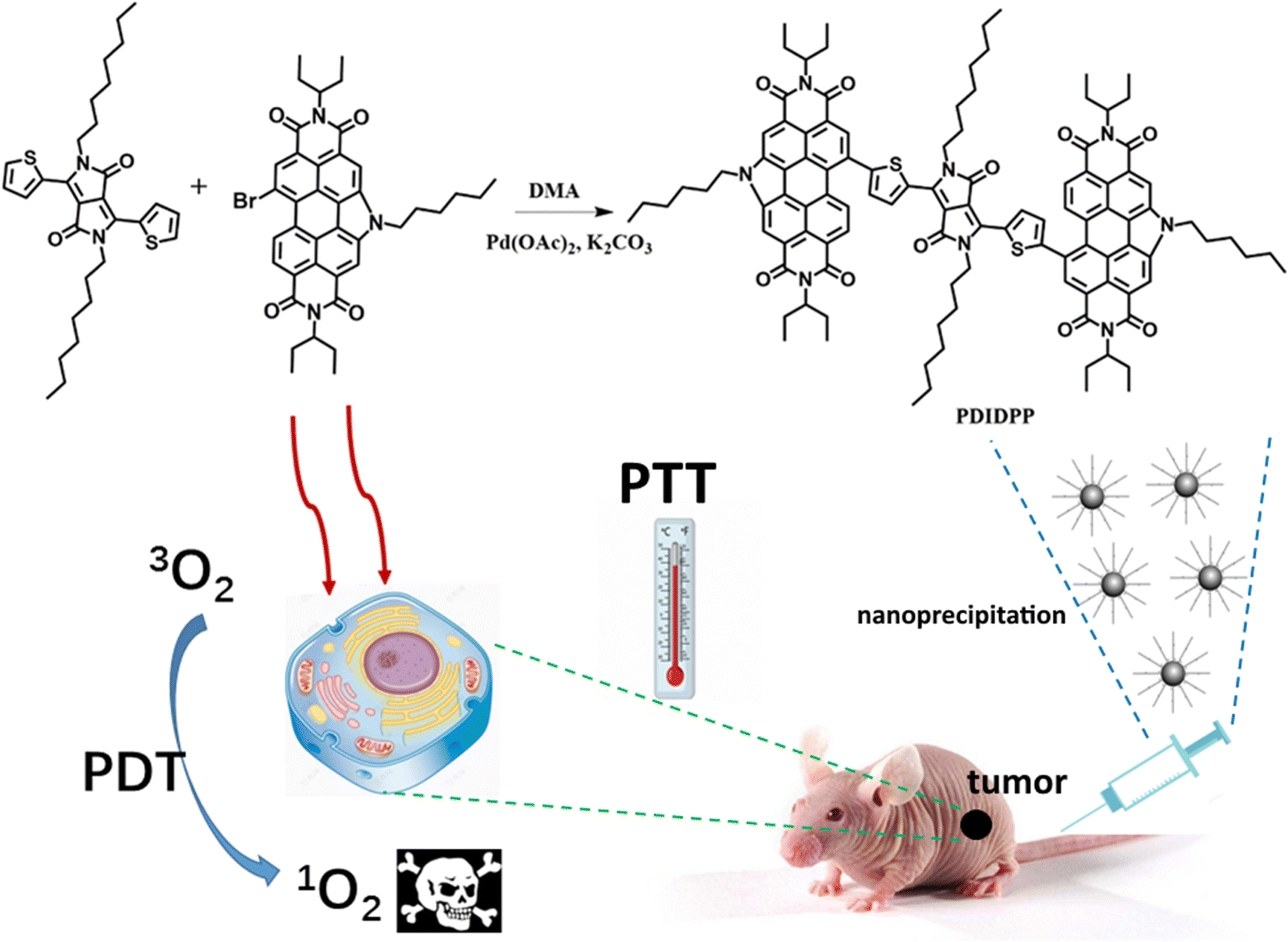 Synthesis of a new photosensitizer for photodynamic and photothermal ...