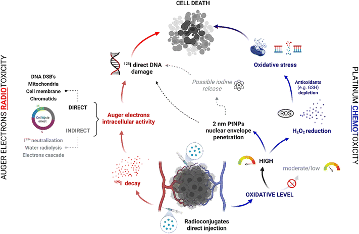 Platinum nanoparticles labelled with iodine-125 for combined “chemo ...