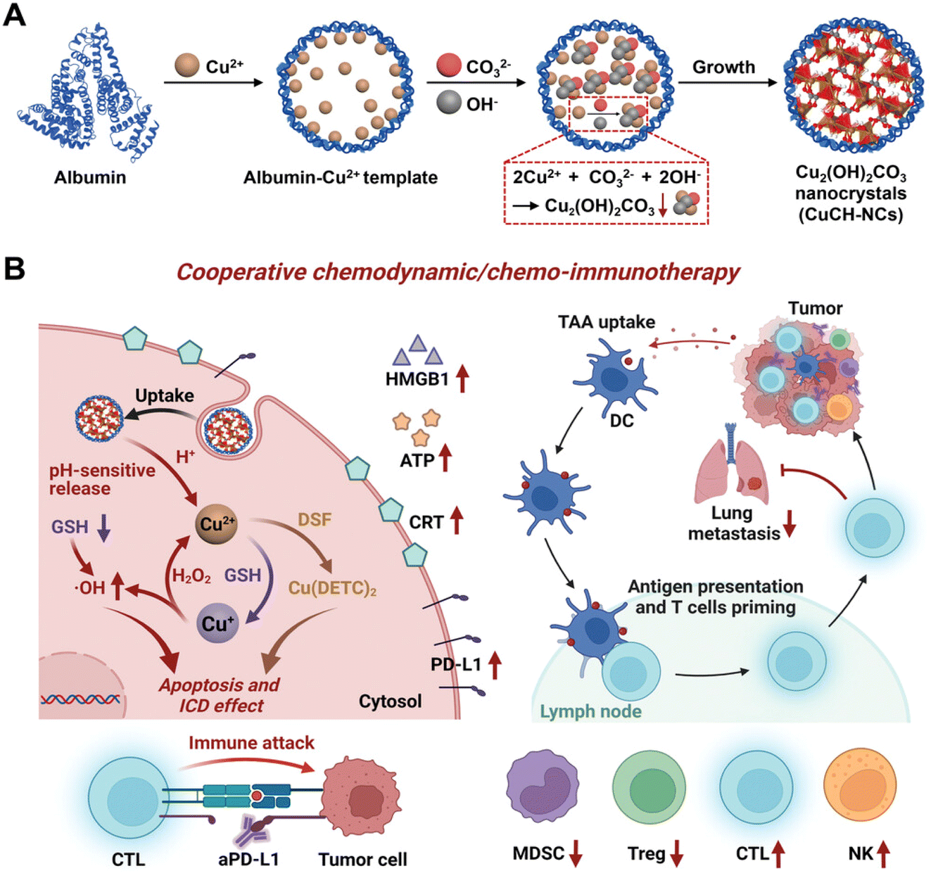 Recent advances of nanocrystals in cancer theranostics - Nanoscale ...