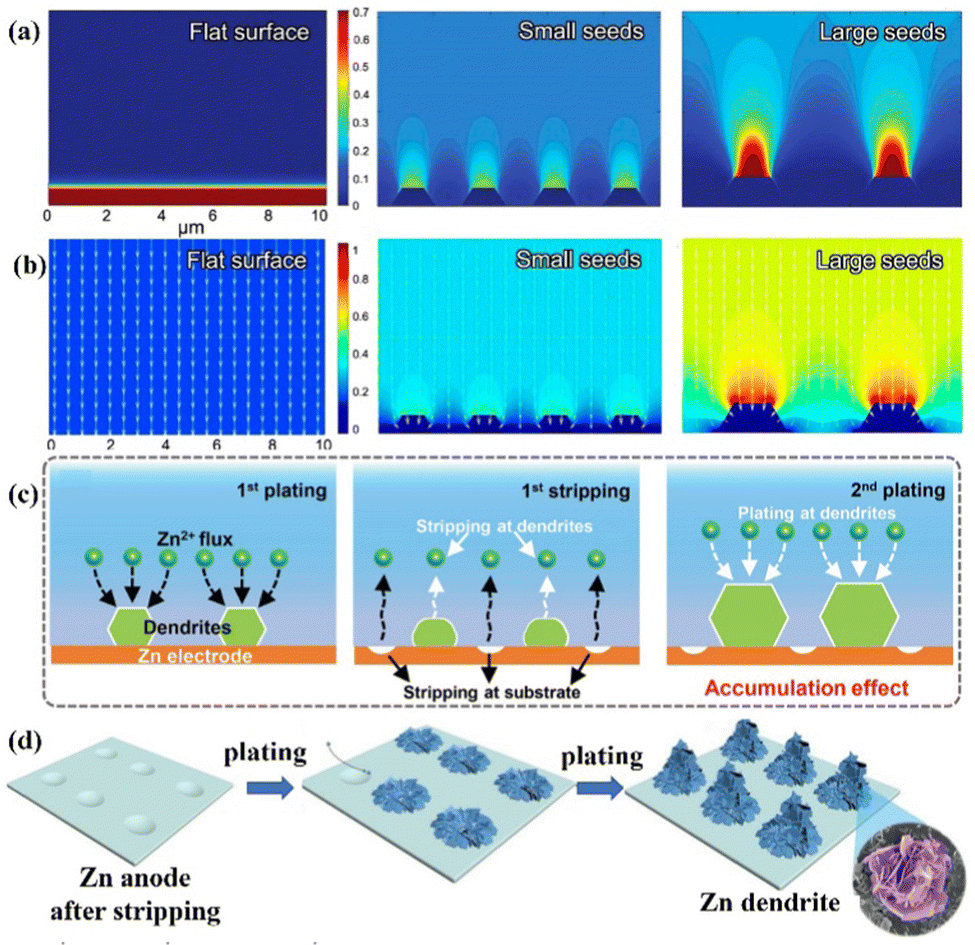 Revitalizing zincion batteries with advanced zinc anode design