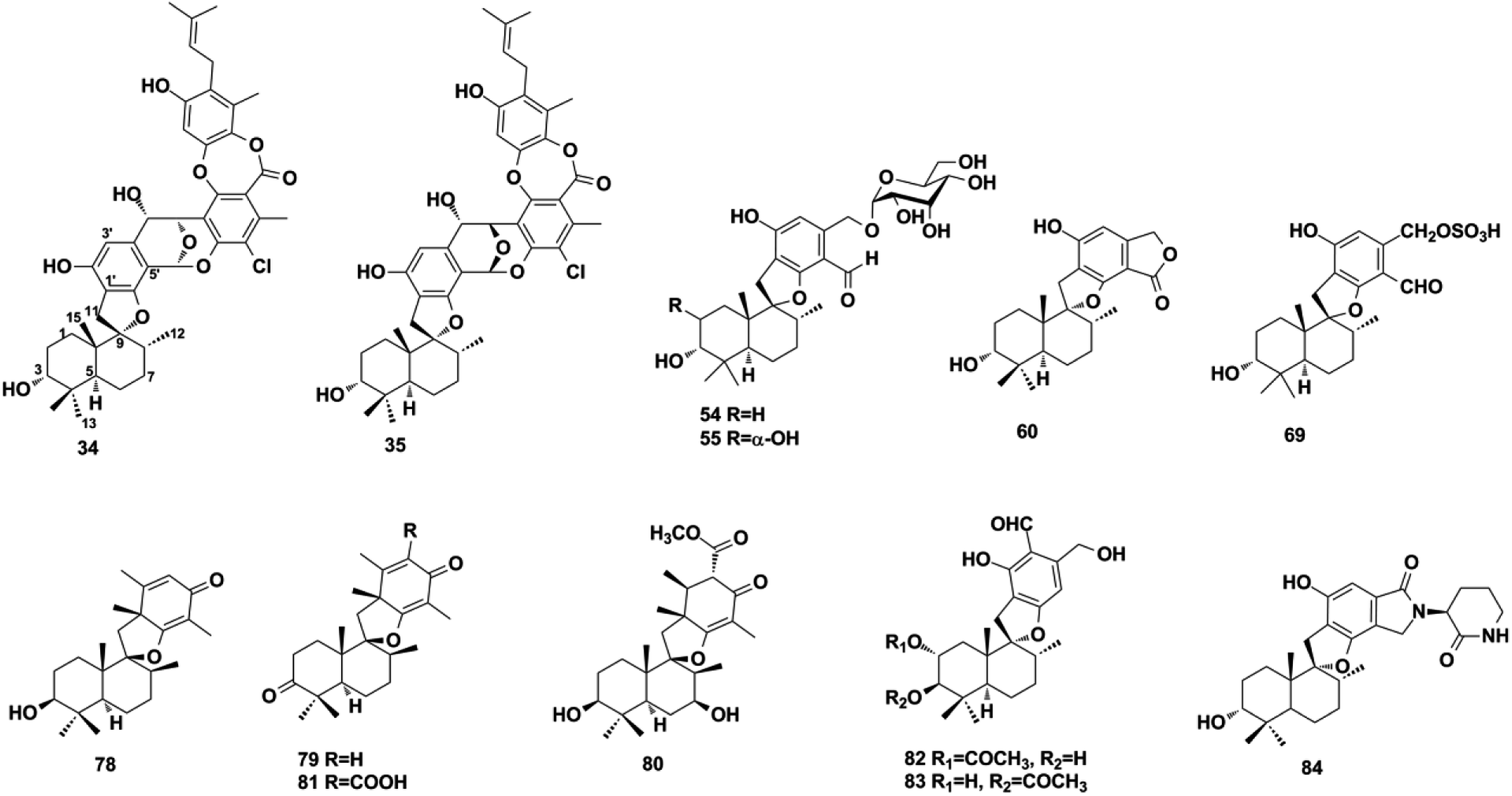 Natural Sesquiterpene Quinone/quinols: Chemistry, Biological Activity ...