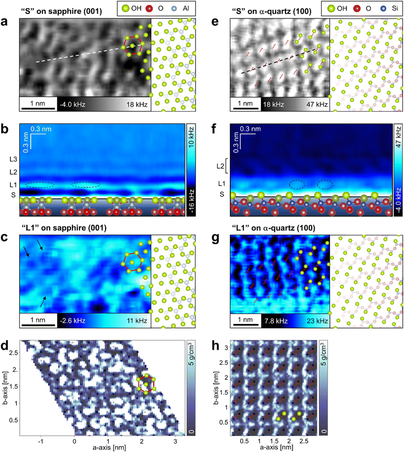 Three-dimensional ordering of water molecules reflecting hydroxyl ...