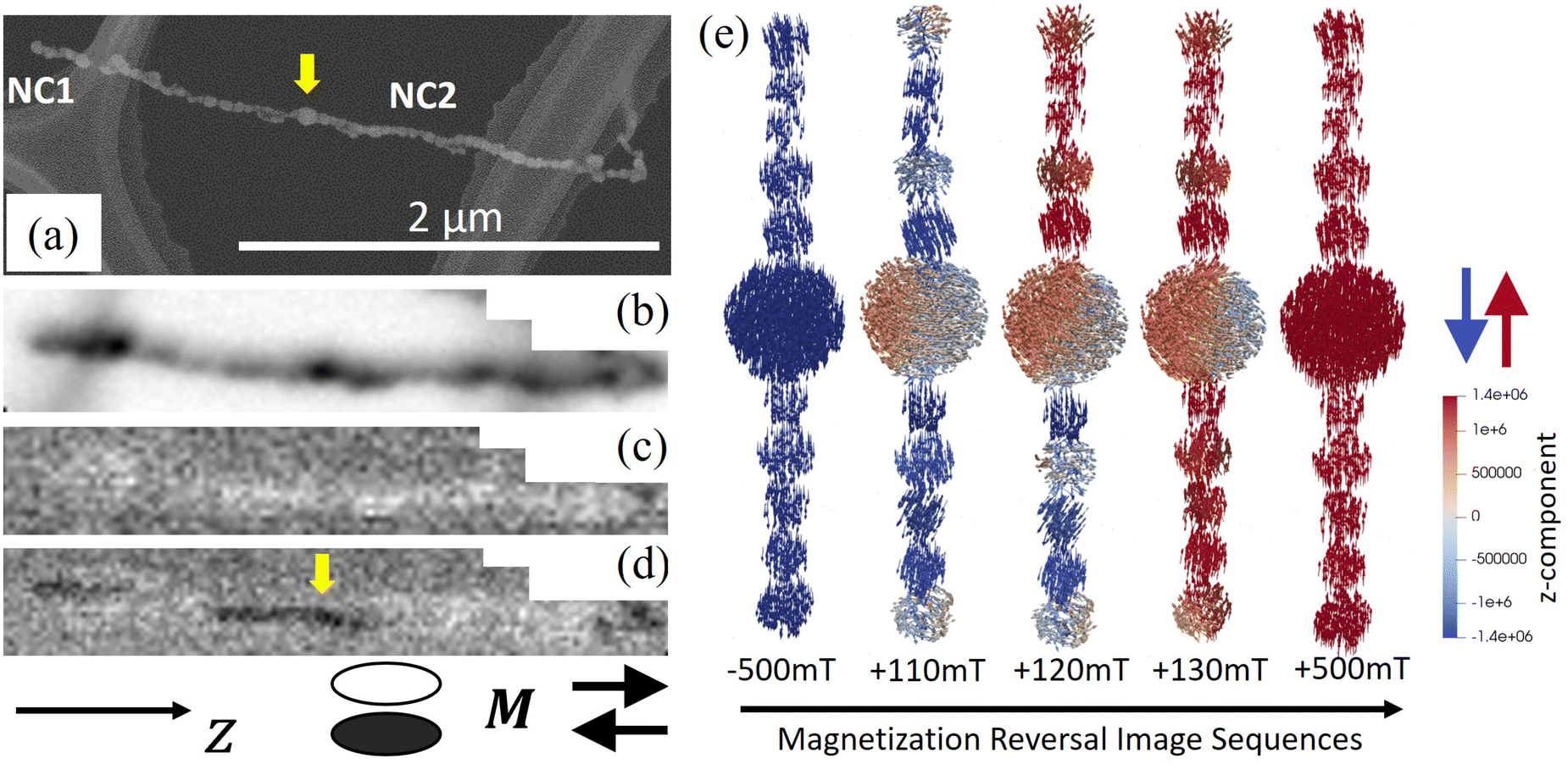 Template-free generation and integration of functional 1D magnetic ...