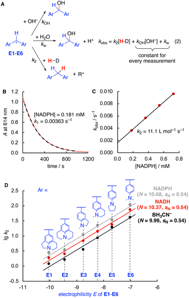 Quantification of the hydride donor abilities of NADH, NADPH, and BH 3 ...