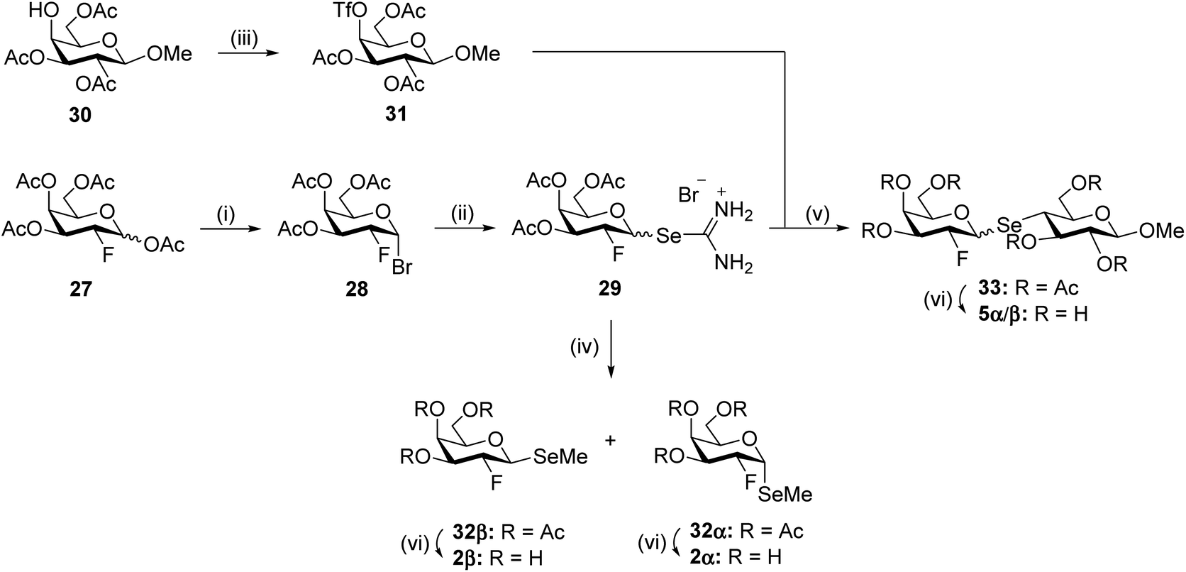 Synthesis of fluoro- and seleno-containing d -lactose and d -galactose ...