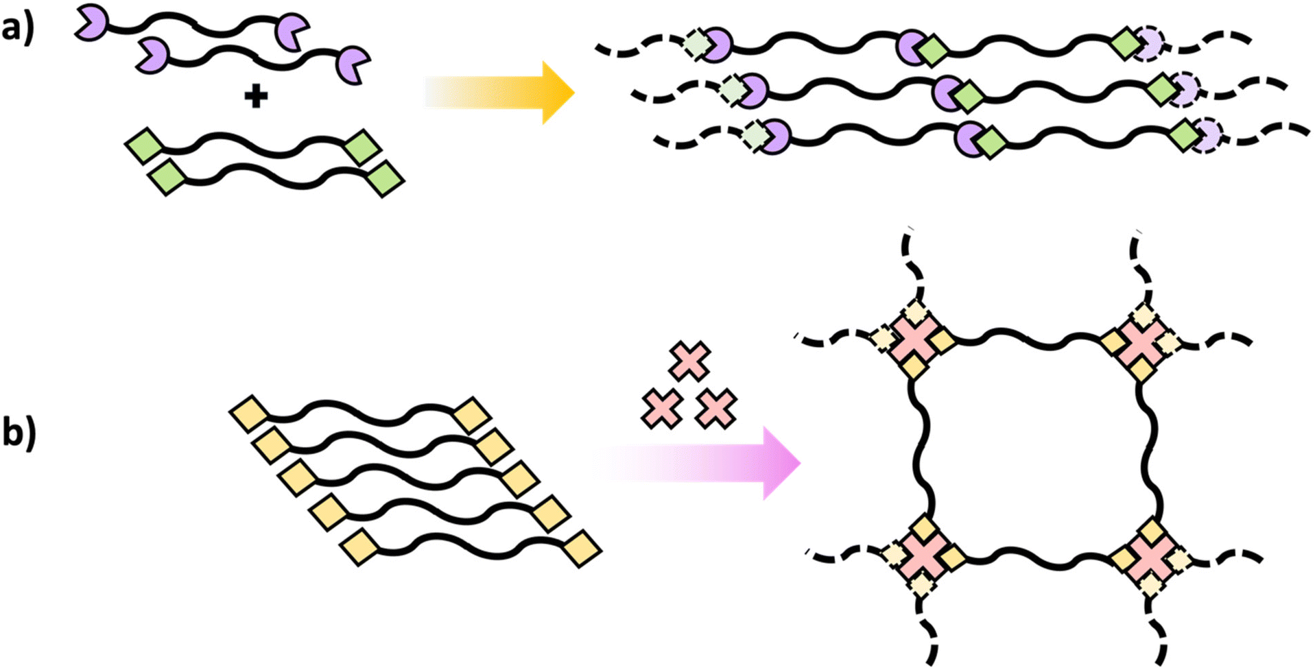 Educational series: turning monomers into crosslinked polymer networks ...