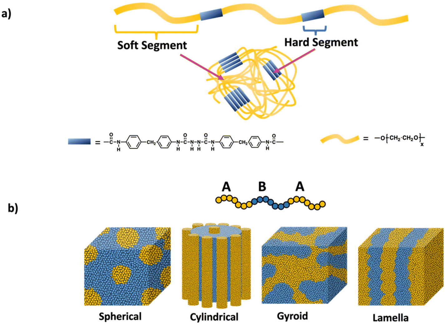 Educational series: turning monomers into crosslinked polymer networks ...