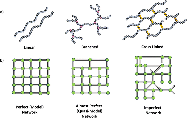 Educational series: turning monomers into crosslinked polymer networks ...