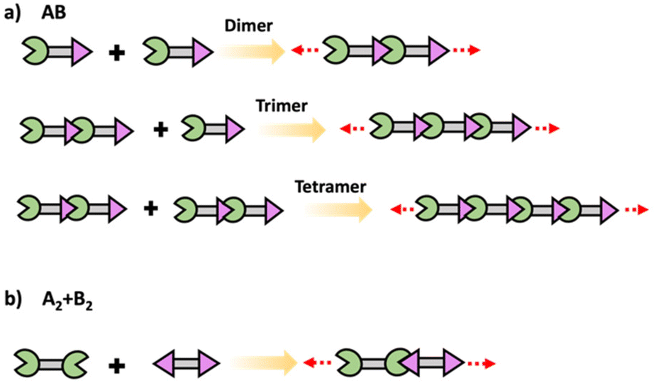 Educational series: turning monomers into crosslinked polymer networks ...