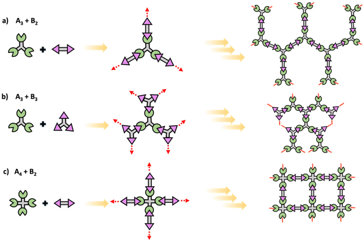 Educational series: turning monomers into crosslinked polymer networks ...