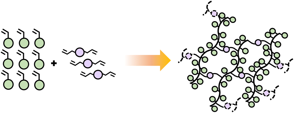 Educational series: turning monomers into crosslinked polymer networks ...