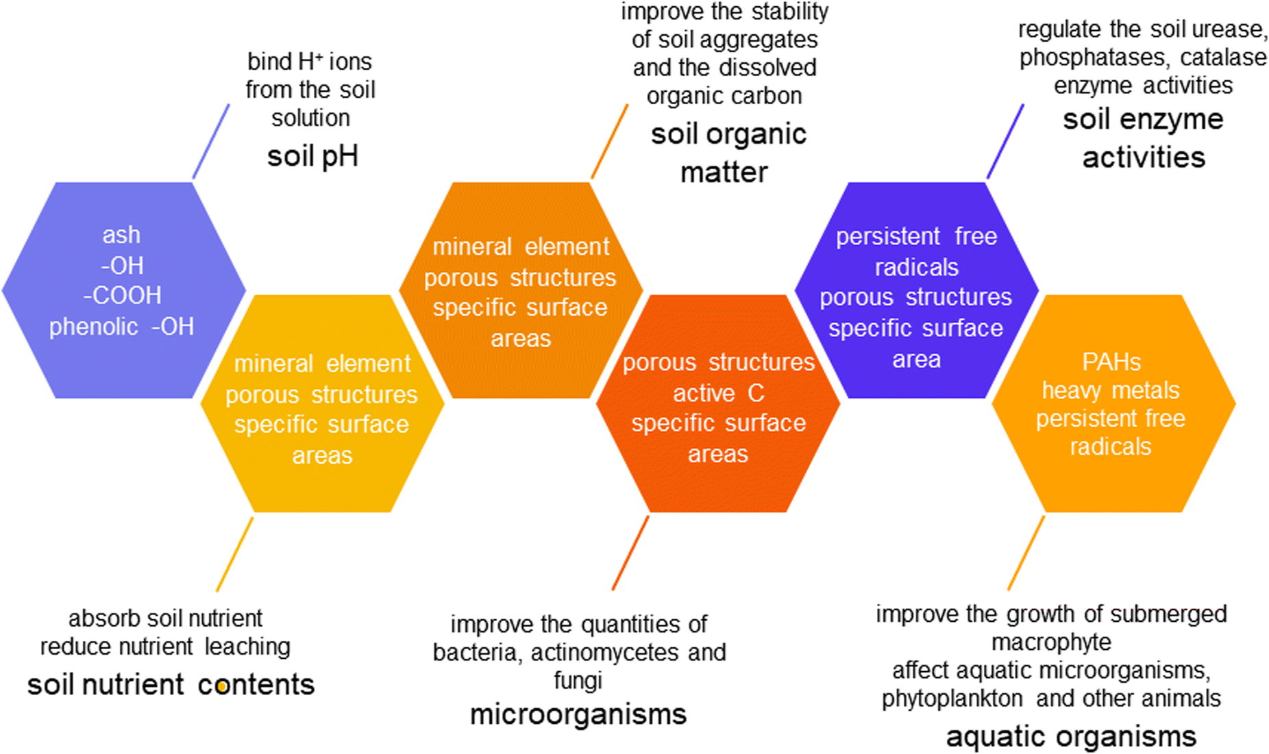 Responses of aquatic vegetables to biochar amended soil and water ...