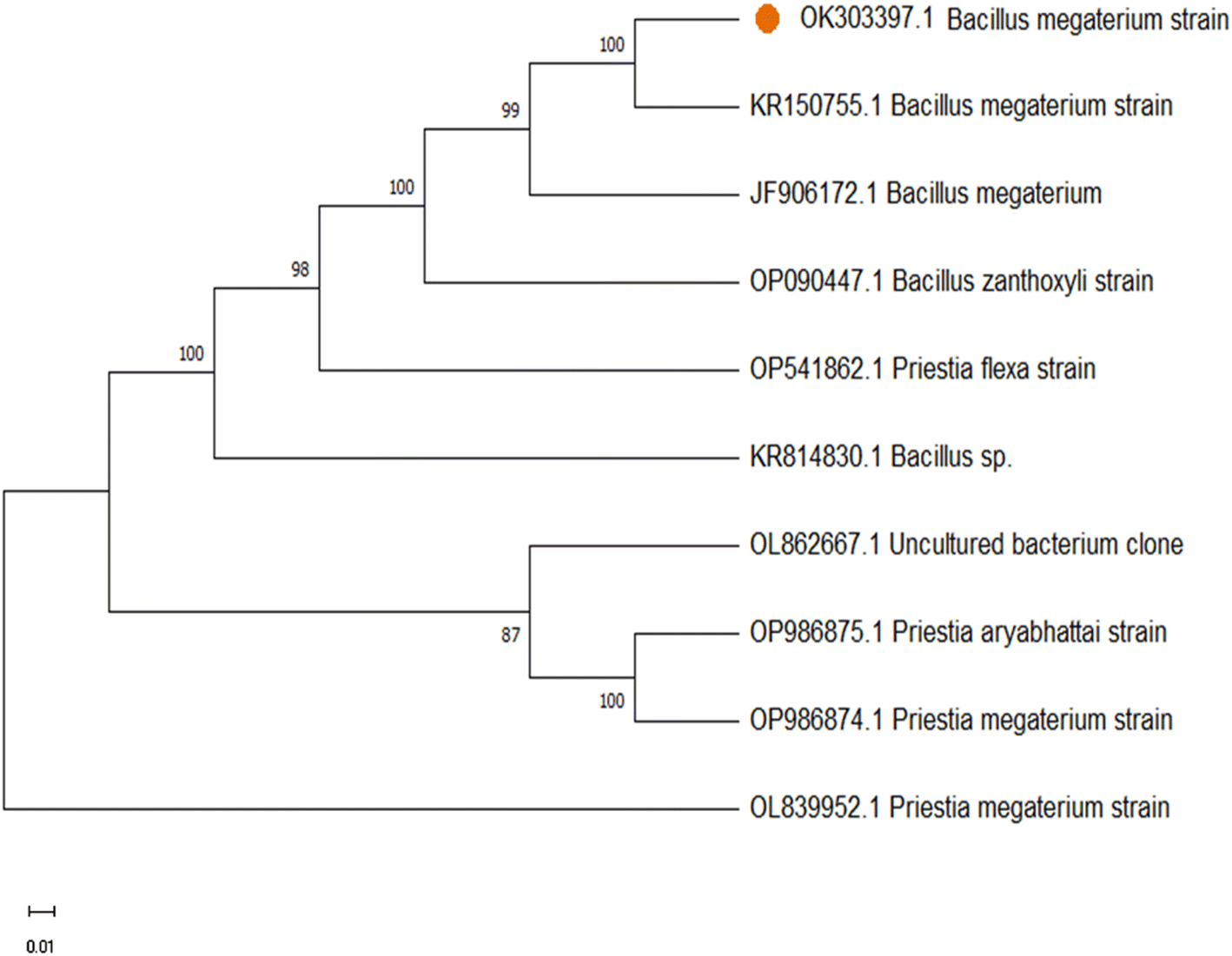 A Universal Green Approach For The Synthesis Of NPS-codoped Carbon ...