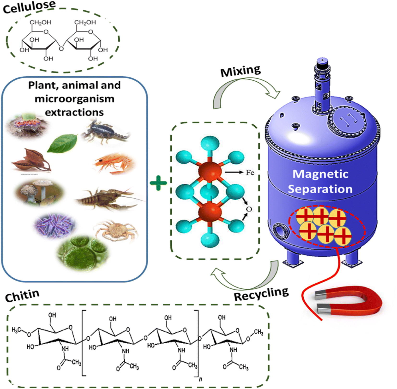 Naturalbased coagulants/flocculants as sustainable marketvalued