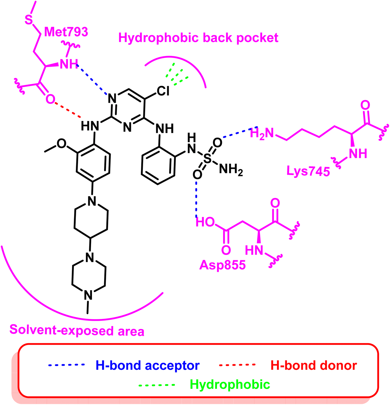 Insights into fourth generation selective inhibitors of (C797S) EGFR ...