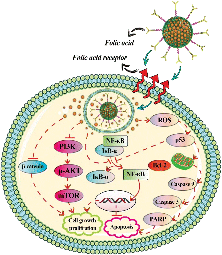 Curcumin-loaded mesoporous silica nanoparticles for drug delivery ...