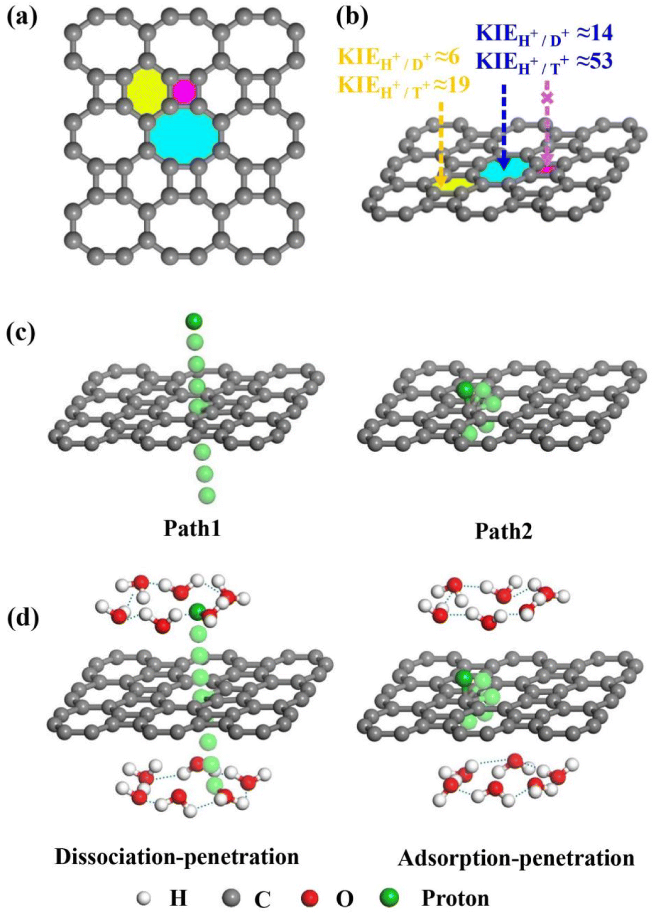 Proton Penetration Mechanism And Selective Hydrogen Isotope Separation ...