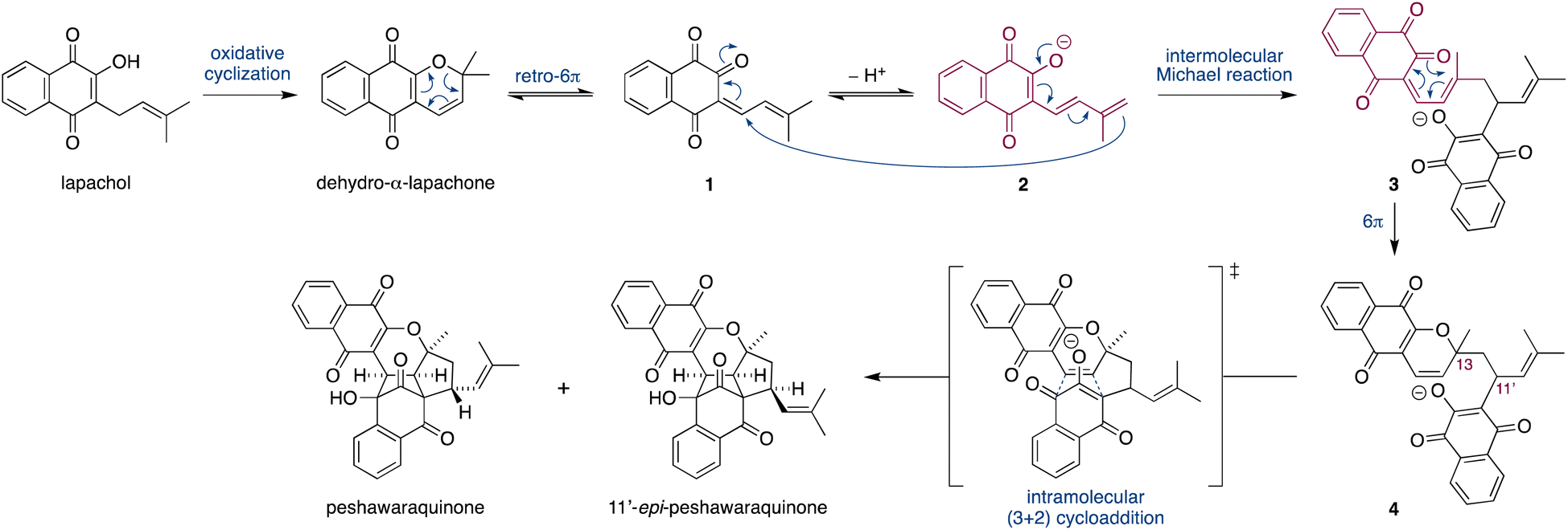 A Bioinspired, One-step Total Synthesis Of Peshawaraquinone - Chemical ...