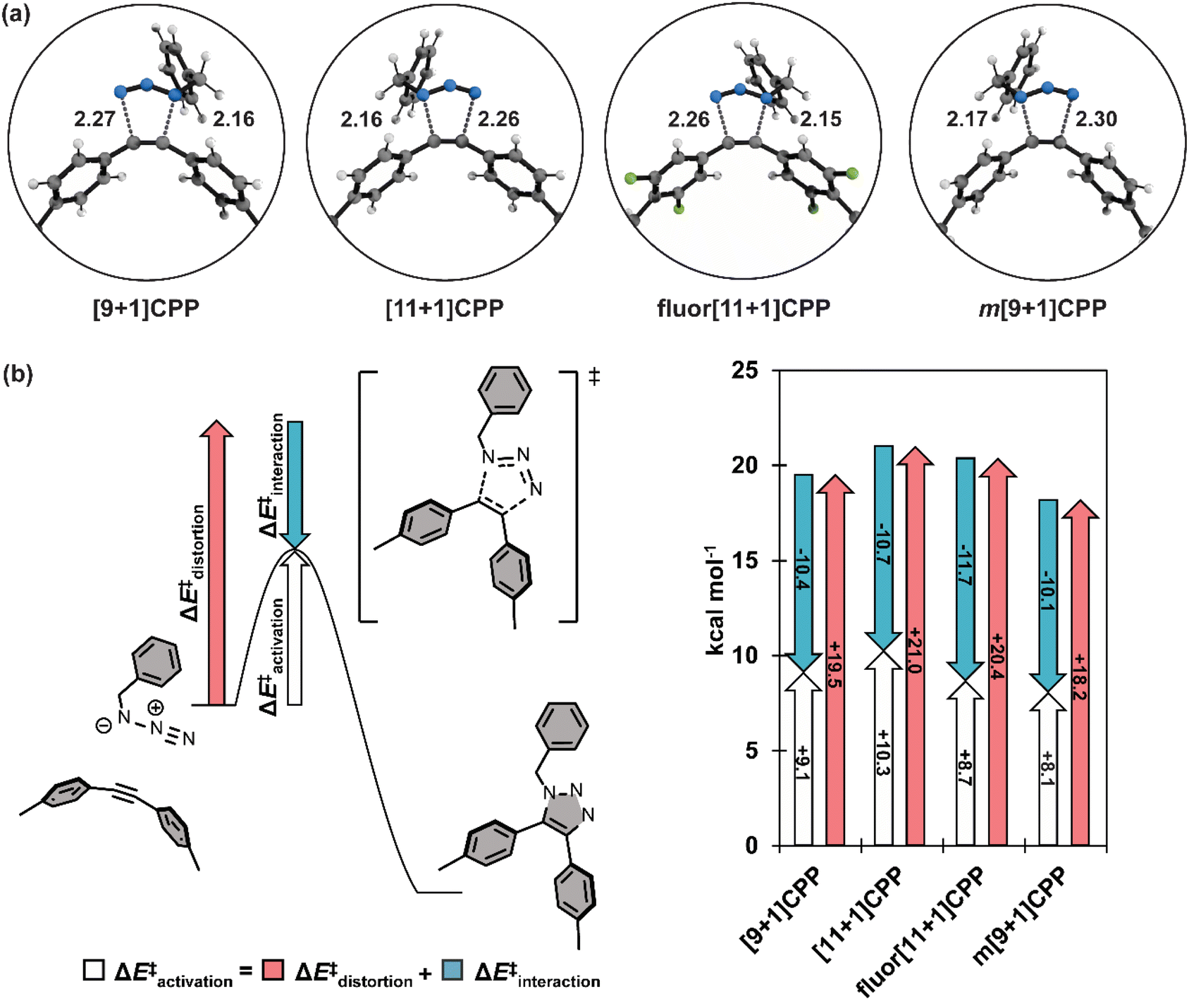 Experimental and theoretical elucidation of SPAAC kinetics for strained ...