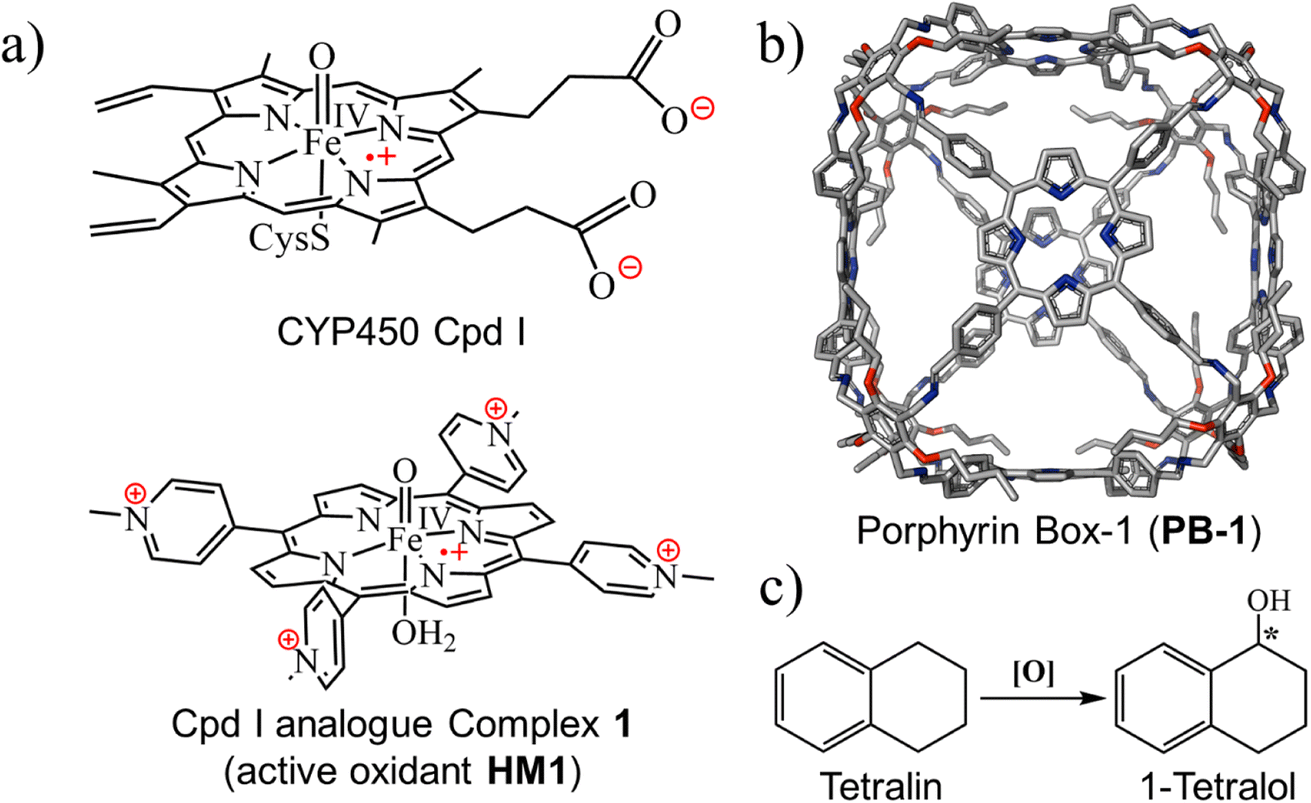 A Porphyrin-based Molecular Cage Guided By Designed Local-electric ...