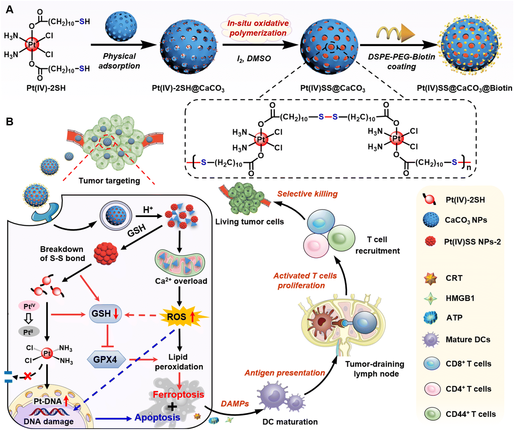 In situ oxidative polymerization of platinum( iv ) prodrugs in pore ...