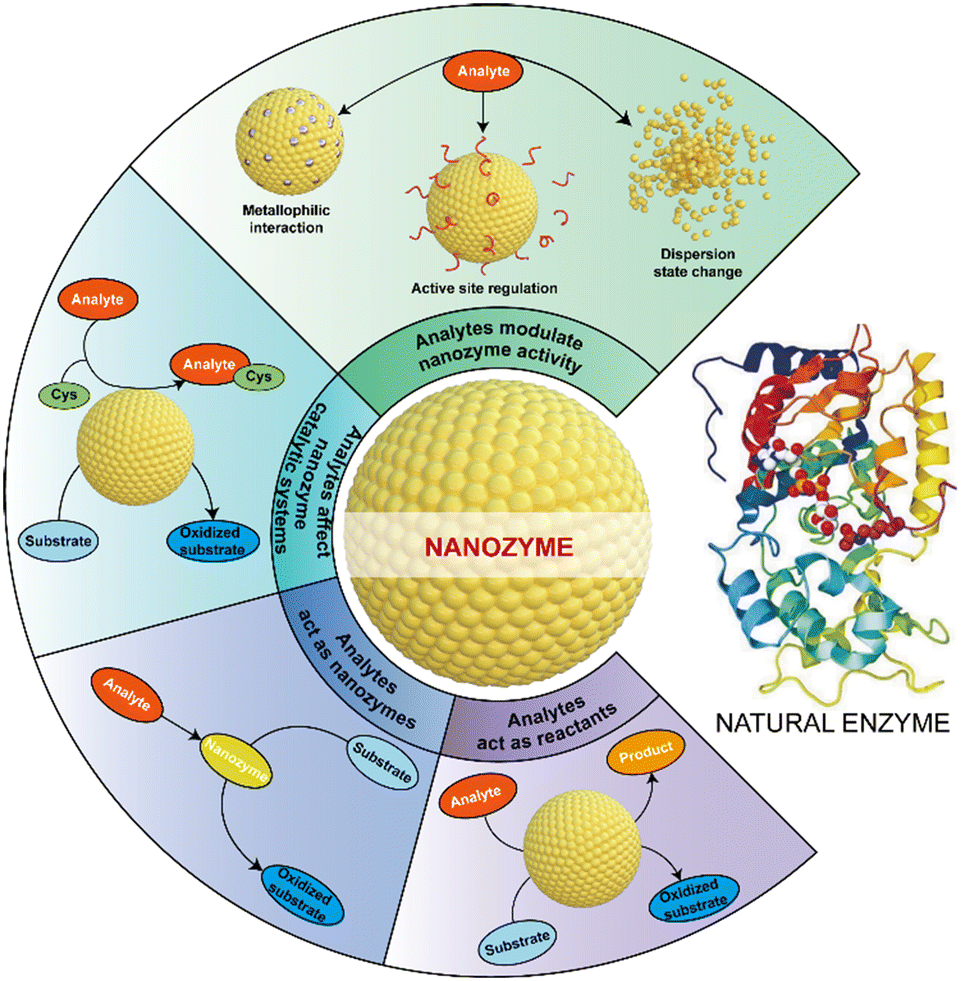 Recent progress in nanozyme-based sensors for ion detection: strategies ...