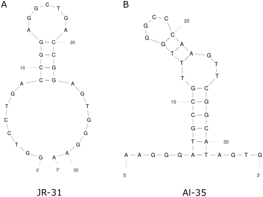 A comparison between oestradiol aptamers as receptors in CNT FET ...