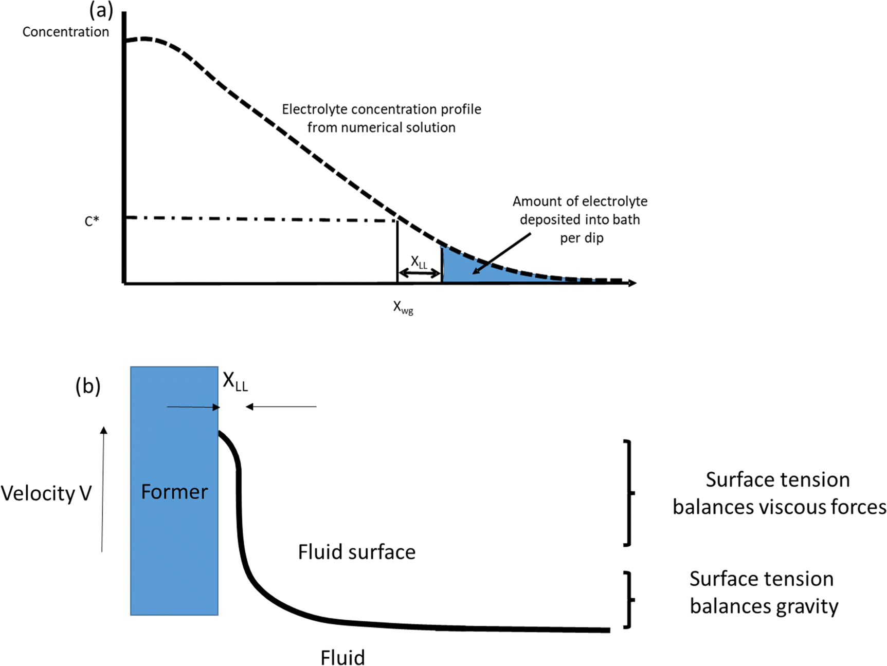 The Coagulant Dipping Process Of Nitrile Latex: Investigations Of ...